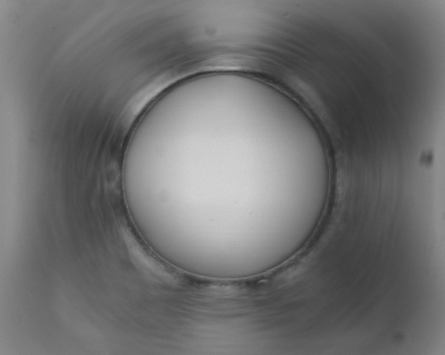 X0000110671465200906261246