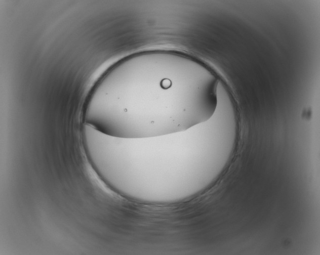 X0000110671468200906261246
