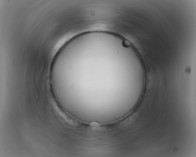 X0000110671469200906261246