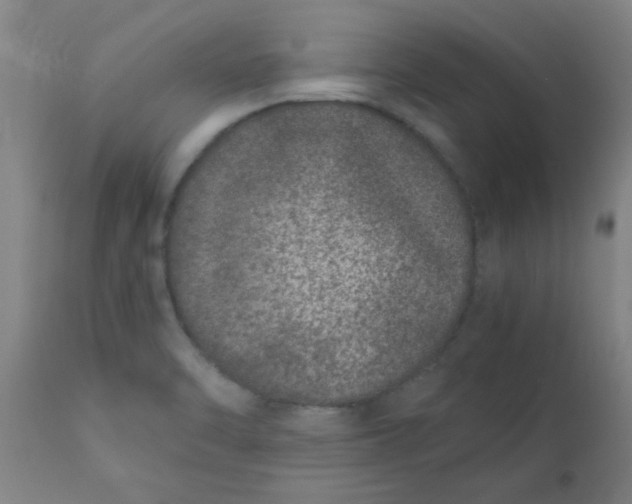 X0000110671470200906261246