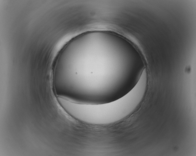 X0000110671472200906261246
