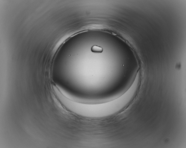 X0000110671473200906261246