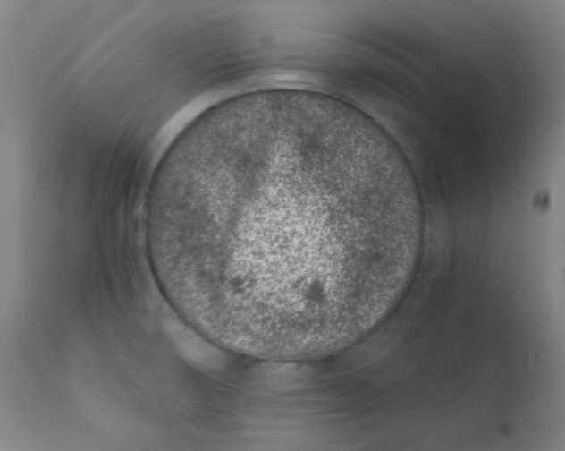 X0000110671474200906261246