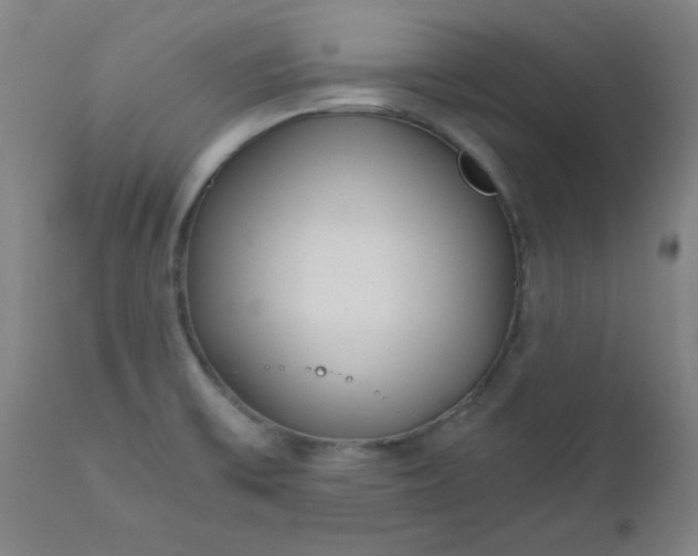 X0000110671475200906261246