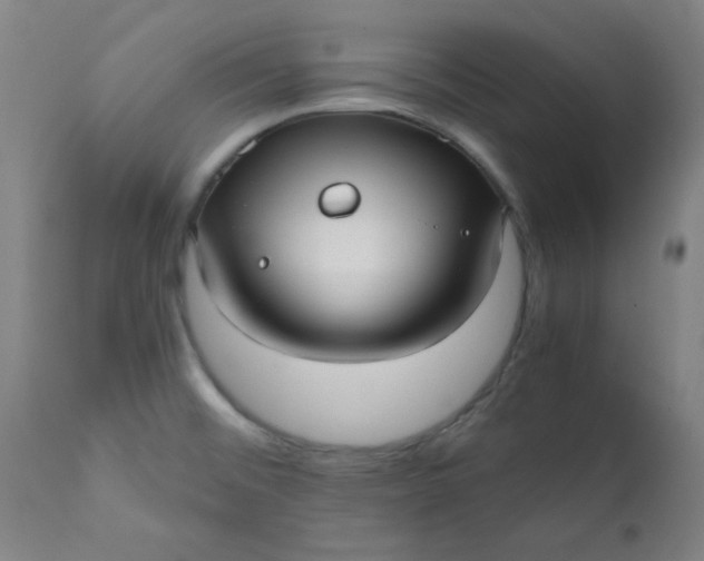 X0000110671476200906261246