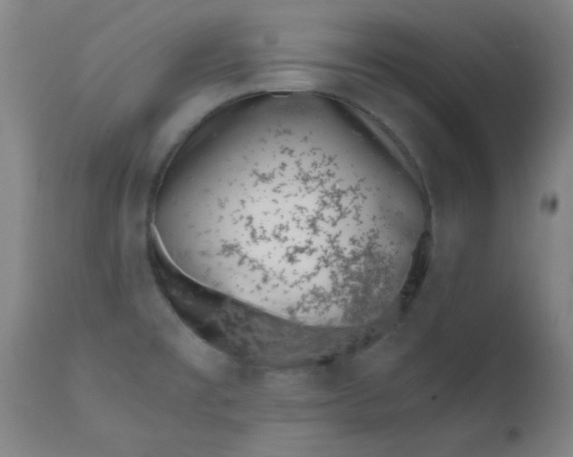 X0000110671477200906261246