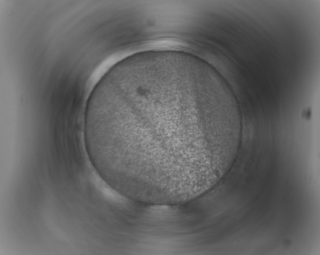 X0000110671478200906261246