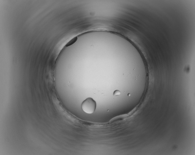 X0000110671481200906261246