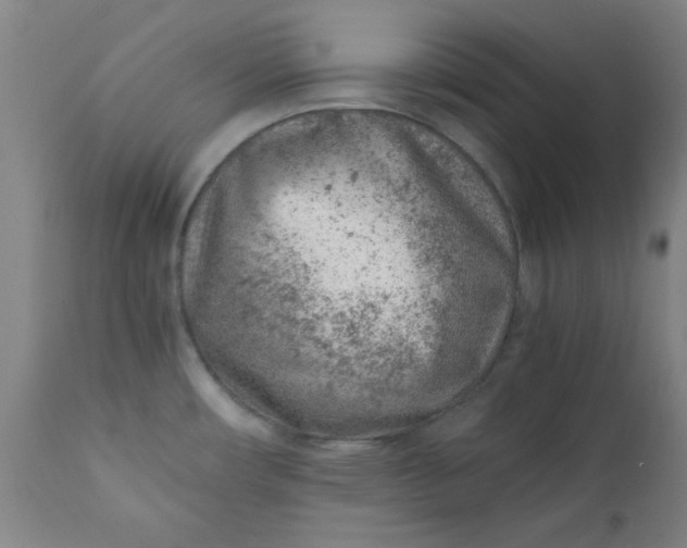 X0000110671482200906261246