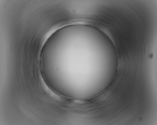 X0000110671483200906261246
