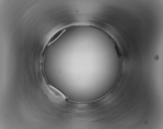 X0000110671484200906261246