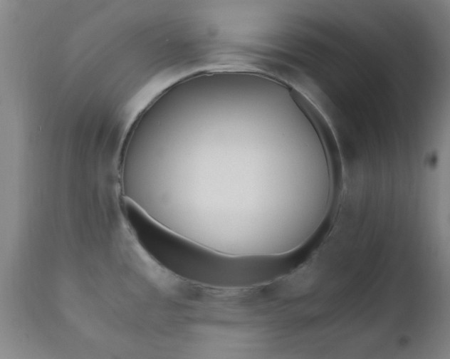 X0000110671485200906261246
