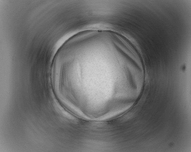 X0000110671486200906261246