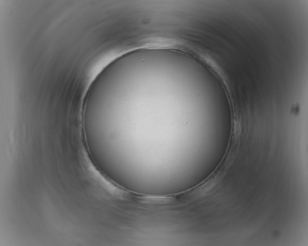 X0000110671487200906261246