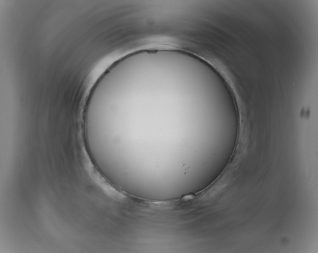 X0000110671488200906261245