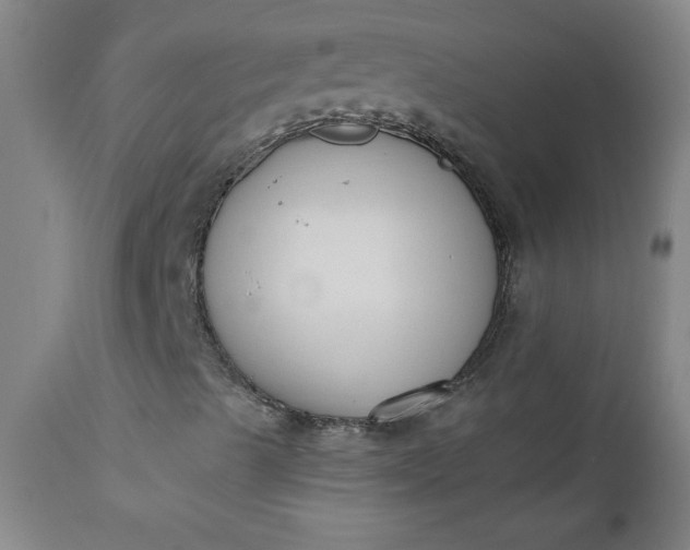 X0000110671489200906261245
