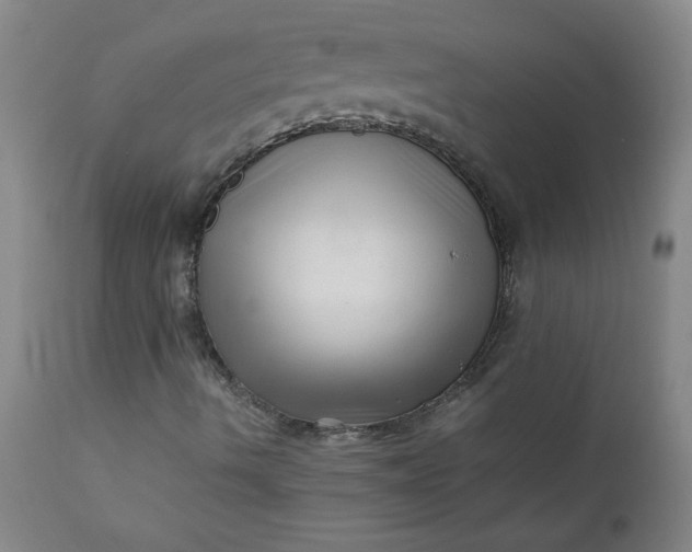 X0000110671490200906261245