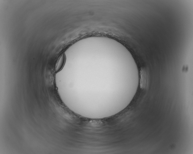 X0000110671491200906261245