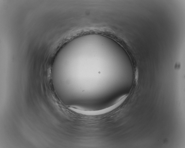 X0000110671492200906261245