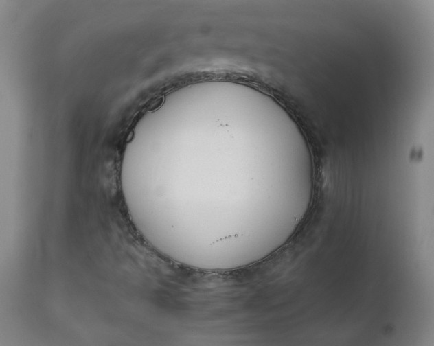 X0000110671493200906261245