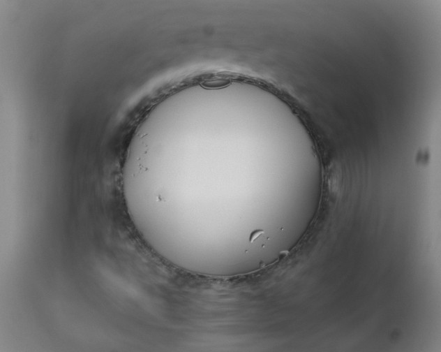 X0000110671495200906261245