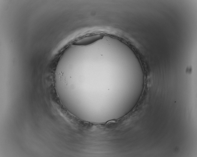 X0000110671496200906261245