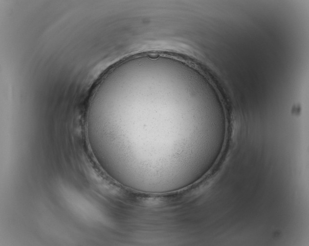 X0000110671497200906261245