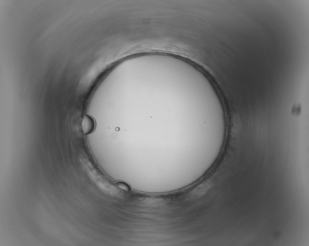 X0000110671499200906261245