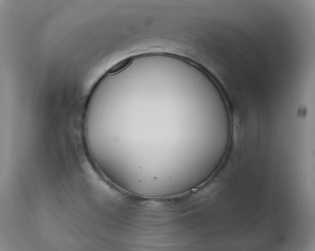 X0000110671500200906261245