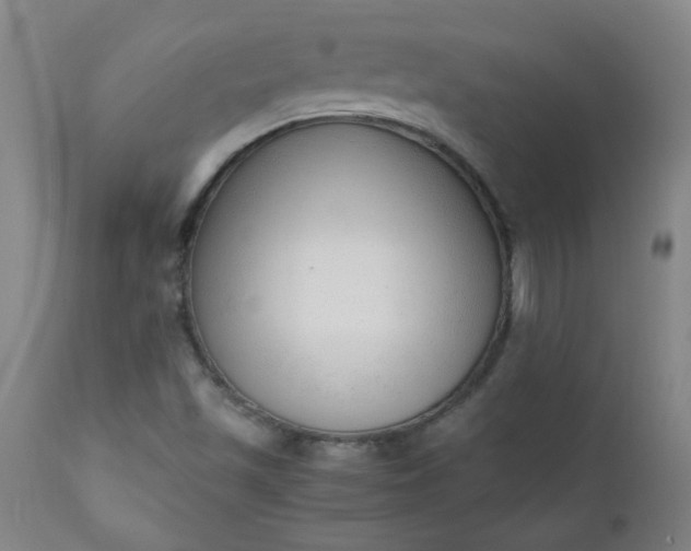 X0000110671501200906261245
