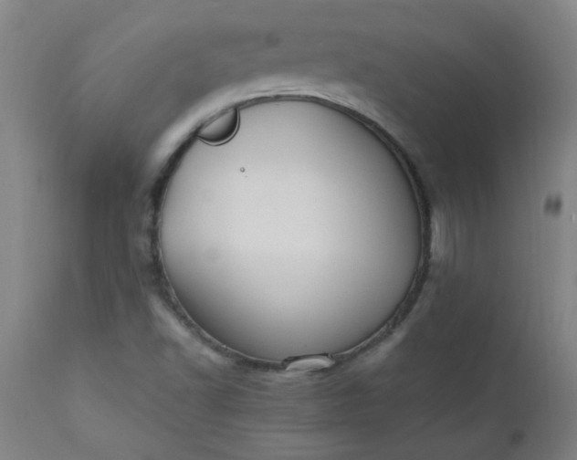 X0000110671502200906261245