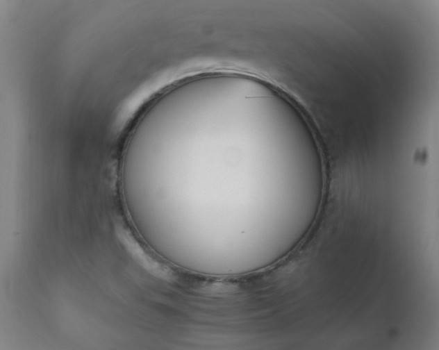 X0000110671503200906261245