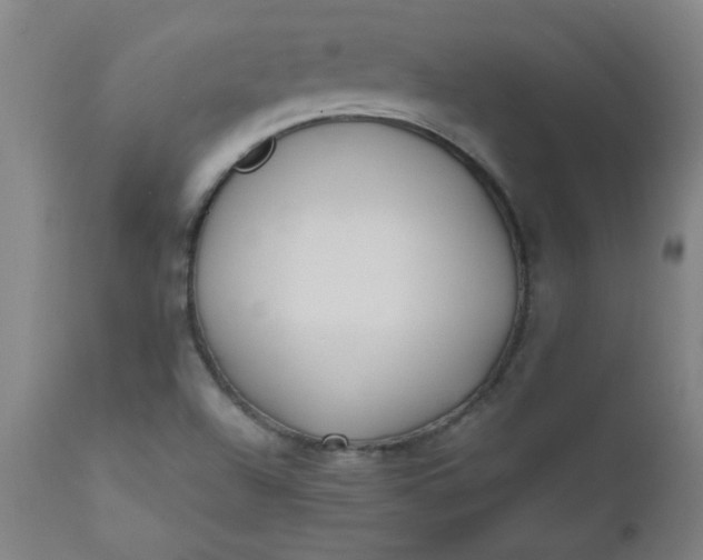X0000110671504200906261245