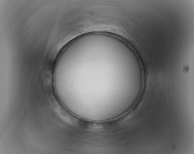 X0000110671505200906261245