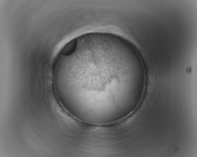 X0000110671506200906261245