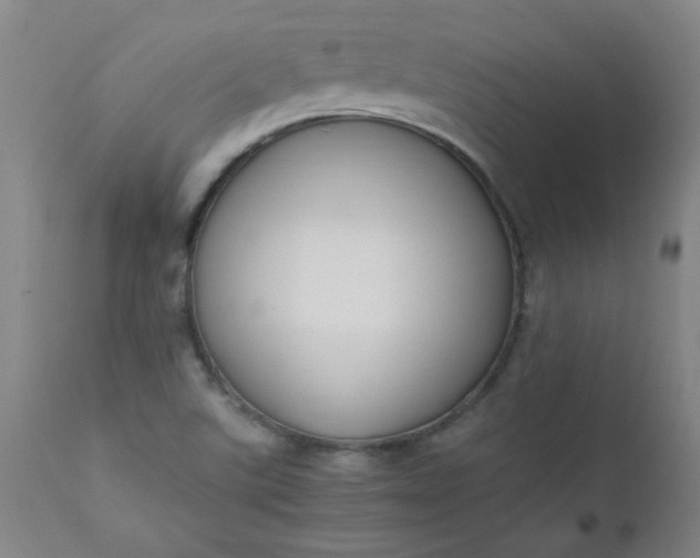 X0000110671507200906261245