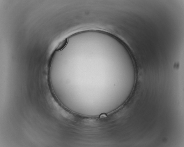 X0000110671508200906261245