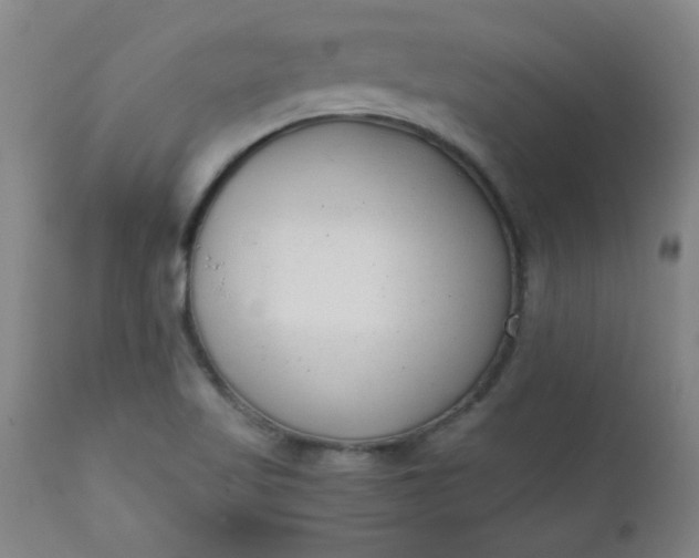 X0000110671509200906261245