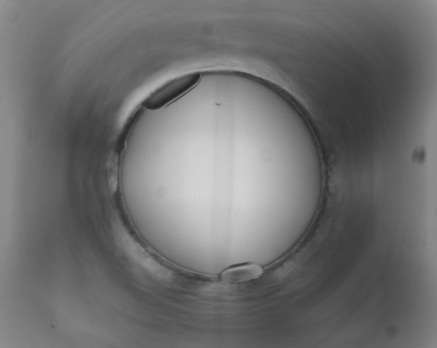 X0000110671510200906261245
