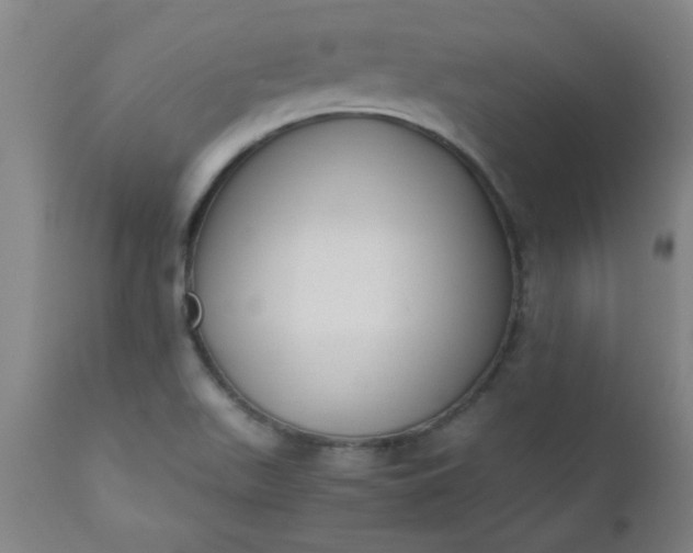 X0000110671511200906261245