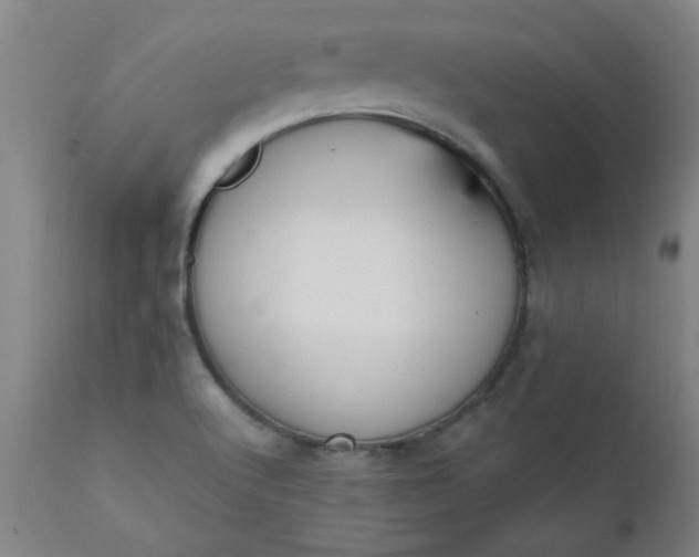 X0000110671512200906261245