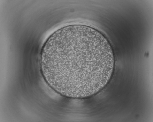 X0000110671514200906261245