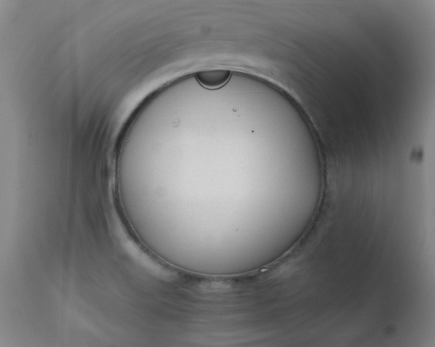 X0000110671515200906261245