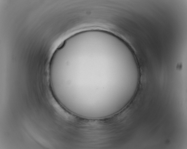 X0000110671516200906261245