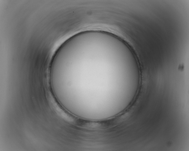 X0000110671517200906261245