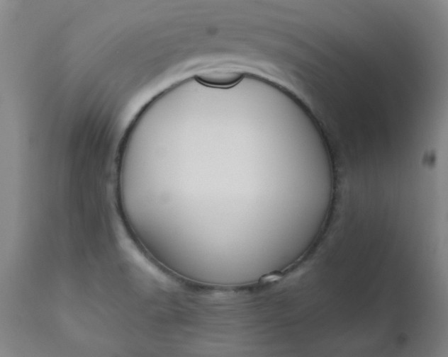 X0000110671518200906261245