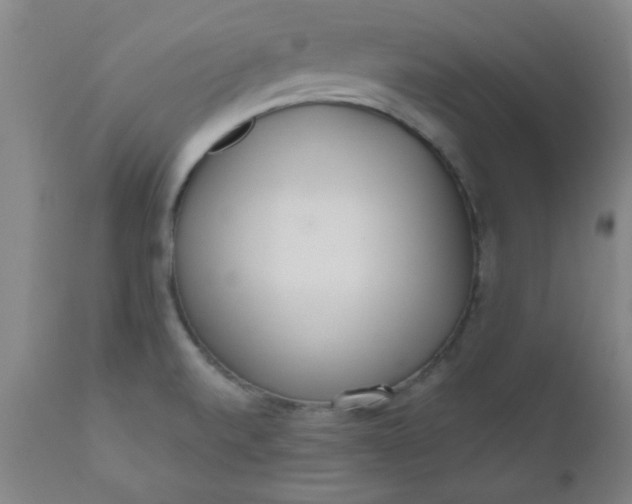 X0000110671520200906261245