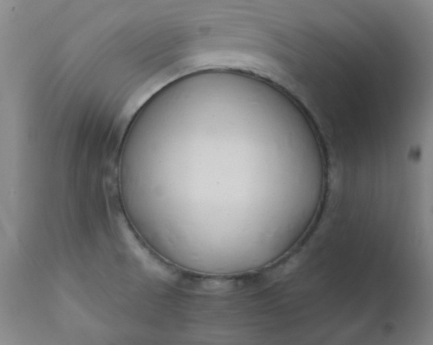 X0000110671521200906261245