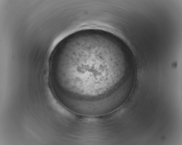 X0000110671522200906261245
