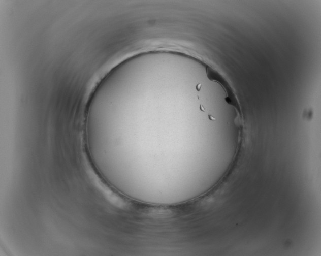 X0000110671525200906261245